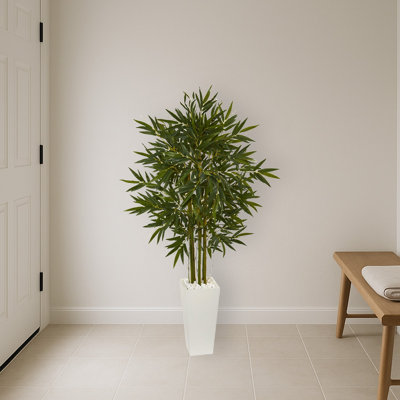 Bamboo Tree in White Tower Planter