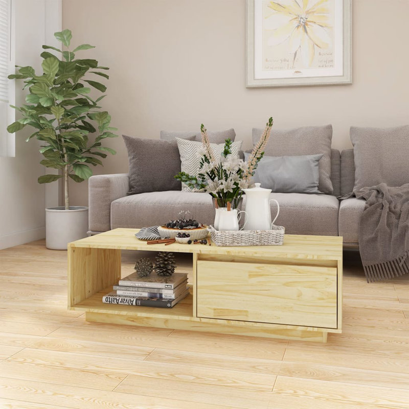 Grabowska Solid Coffee Table with Storage, Brown