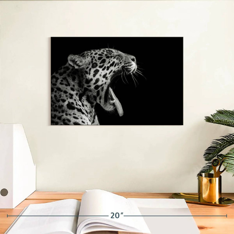 Brampt Jaguar Yawn, 8" H x 12" W