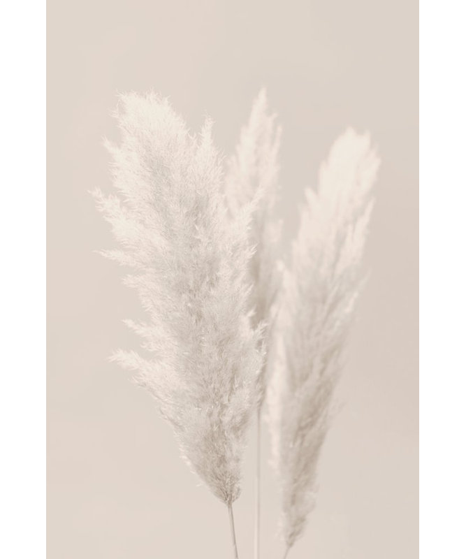 Wrapped Canvas Print, 50.8cm H x 76.2cm W