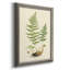 «Curtis Ferns II», cadre photo, impression sur toile-356155095