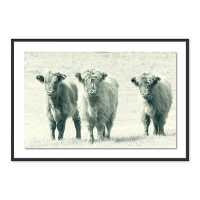 « vaches » par pernille westh-cadre photo, impression sur papier