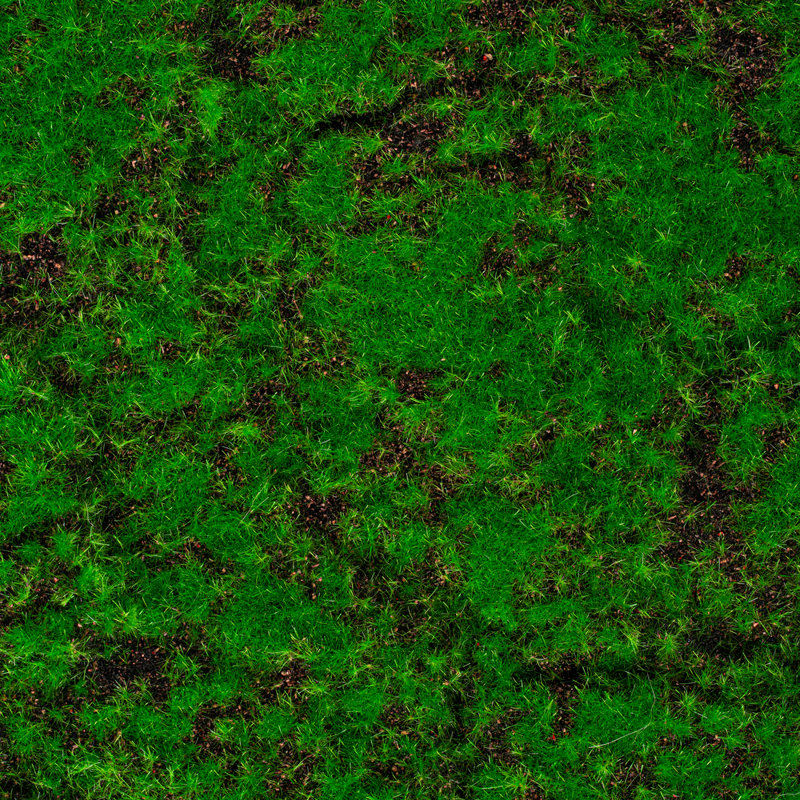 48'' Faux Hedge