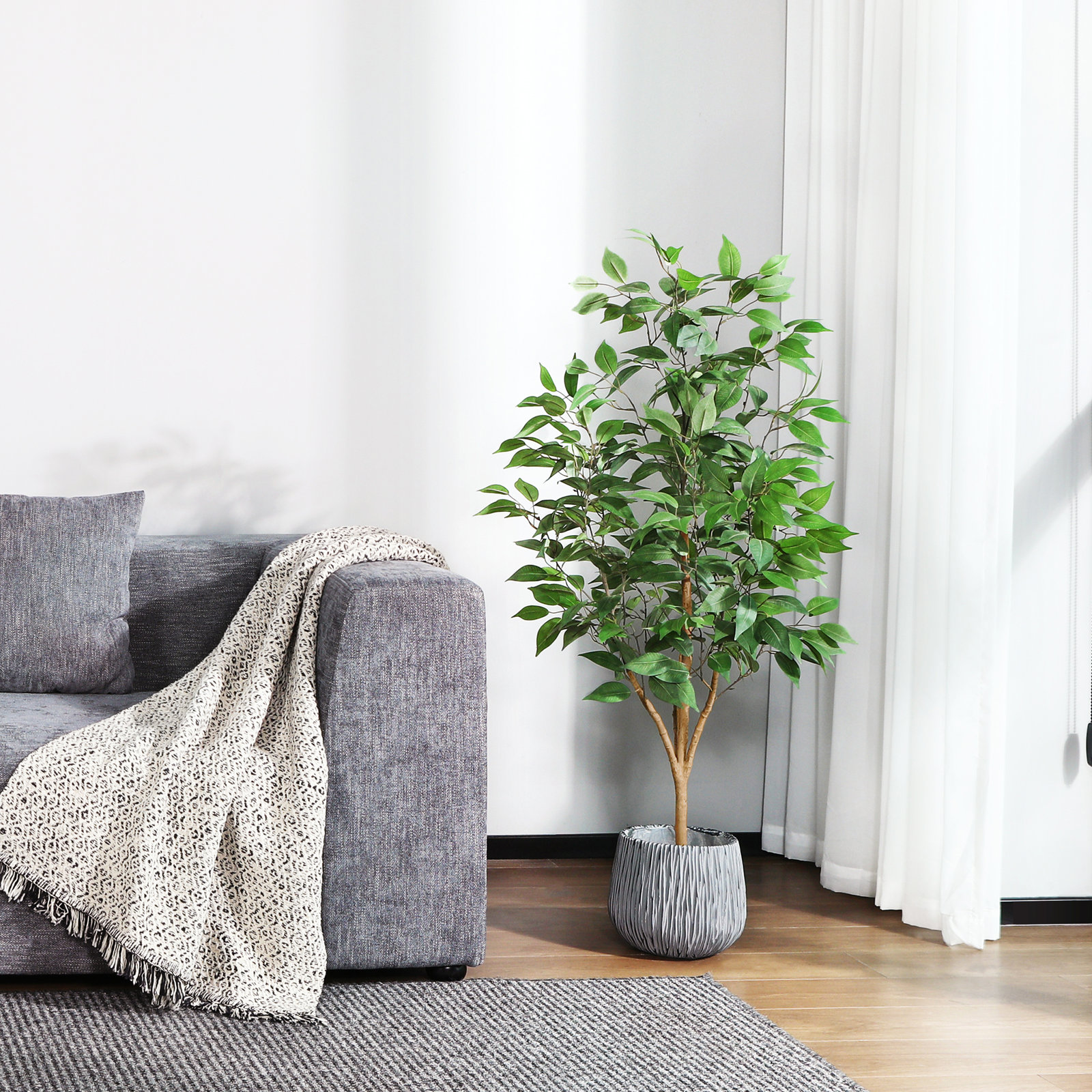 Adcock Ficus Tree in Pot, 47" H x 12" W x 12" D