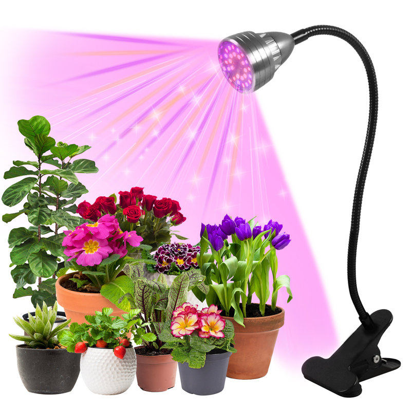Lumière DEL pour plante