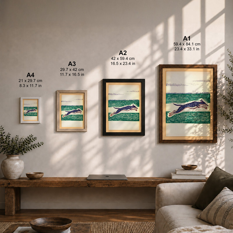 Diving Seal Coastal - Print, A4 - 29.7 x 21.0 cm, White