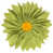 Green/Yellow est en rupture de stock