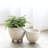 Tierney Ceramic Pot Planter