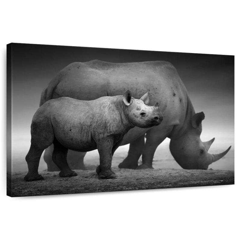 Rhinocéros d'Etosha Park, H 8 po x l 12 po