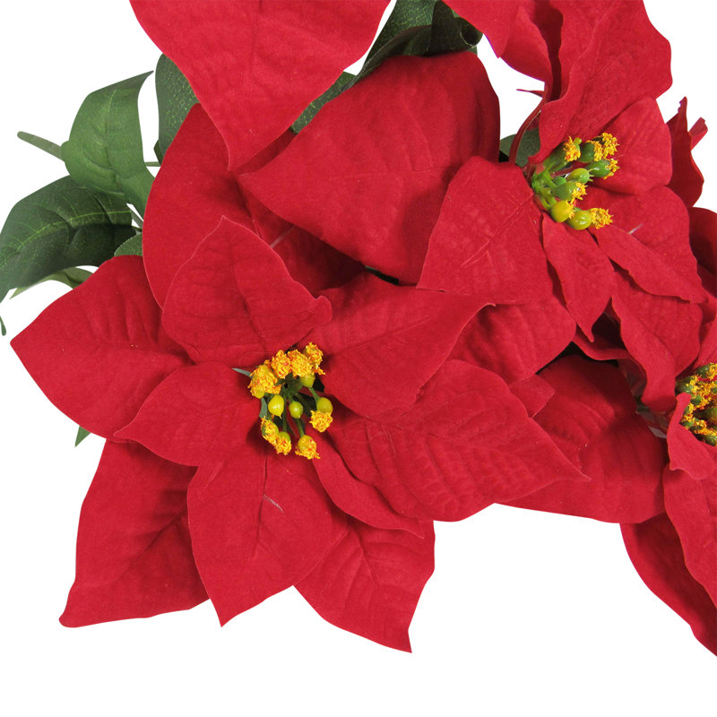 Buissons de poinsettias, H 20 po x l 13 po x P 13 po