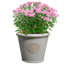 Rustic Style Rolled Rim Wide Vase Planter-87131648-87131654