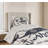 Coverlet