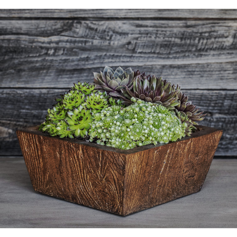 Ravishankar Handmade Planter Box