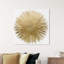 Sunburst Adore - impression-72508285-119405848-72508284