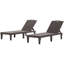 2 chaises longues d'extérieur American Design, brun foncé, 5 positions réglables, résine de polypropylène imperméable, courbées ergonomiques et faciles à déplacer pour les chaises longues de plage et de bord de mer brunes de 2, niveau-763405750
