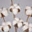 21.6 " Fabric Cotton Arrangement