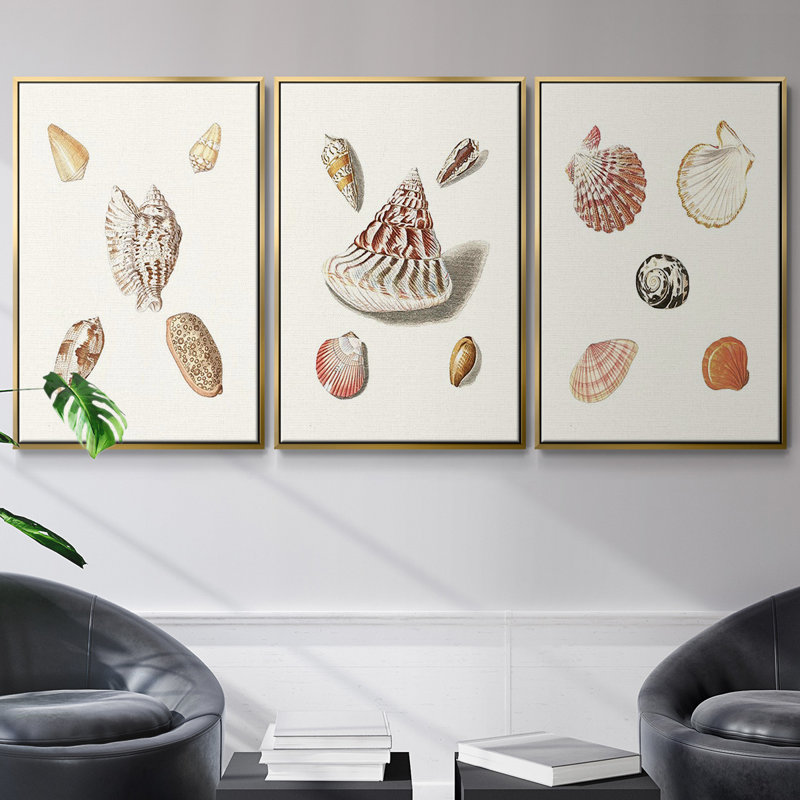 Pastel Knorr Shells VI - Ensemble de 3 cadres flottants sur toile, Or, H 27 po x l 54 po