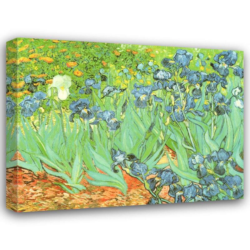 Iris dans le jardin, H 19 po x l 24 po