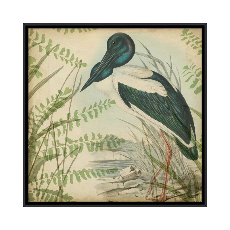 « héron & ferns i », reproduction sur toile, H 18 po x l 18 po x P 1,5 po, Toile avec cadre noir, Pas de tapis