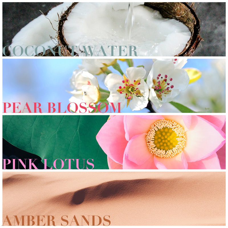 Bougie parfumée Island Sands