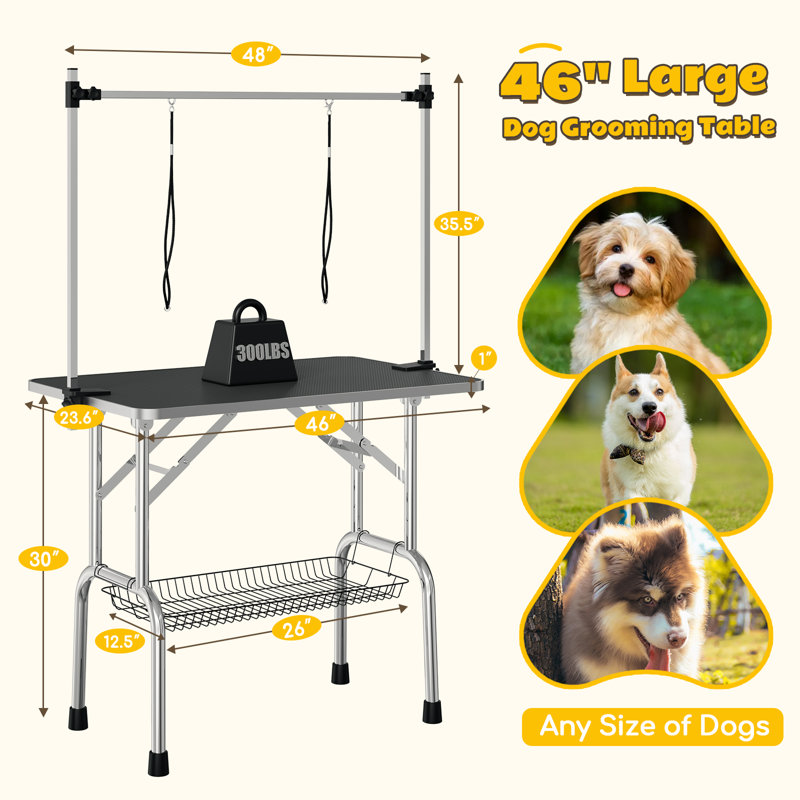 Table de toilettage pour chien, table de toilettage réglable pour les chiens à la maison, table de toilettage pliable pour animal de compagnie, grande table de toilettage portable pour chien avec accoudoirs, corde à sauter, plateau en filet,