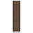 Rodger Walnut 3-Shelf Cabinet Bookcase