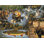 «Wilderness On Canvas» par Ed Wargo, reproduction