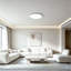 Deshunda 1 - Light LED Flush Mount-1865435367-1863024679