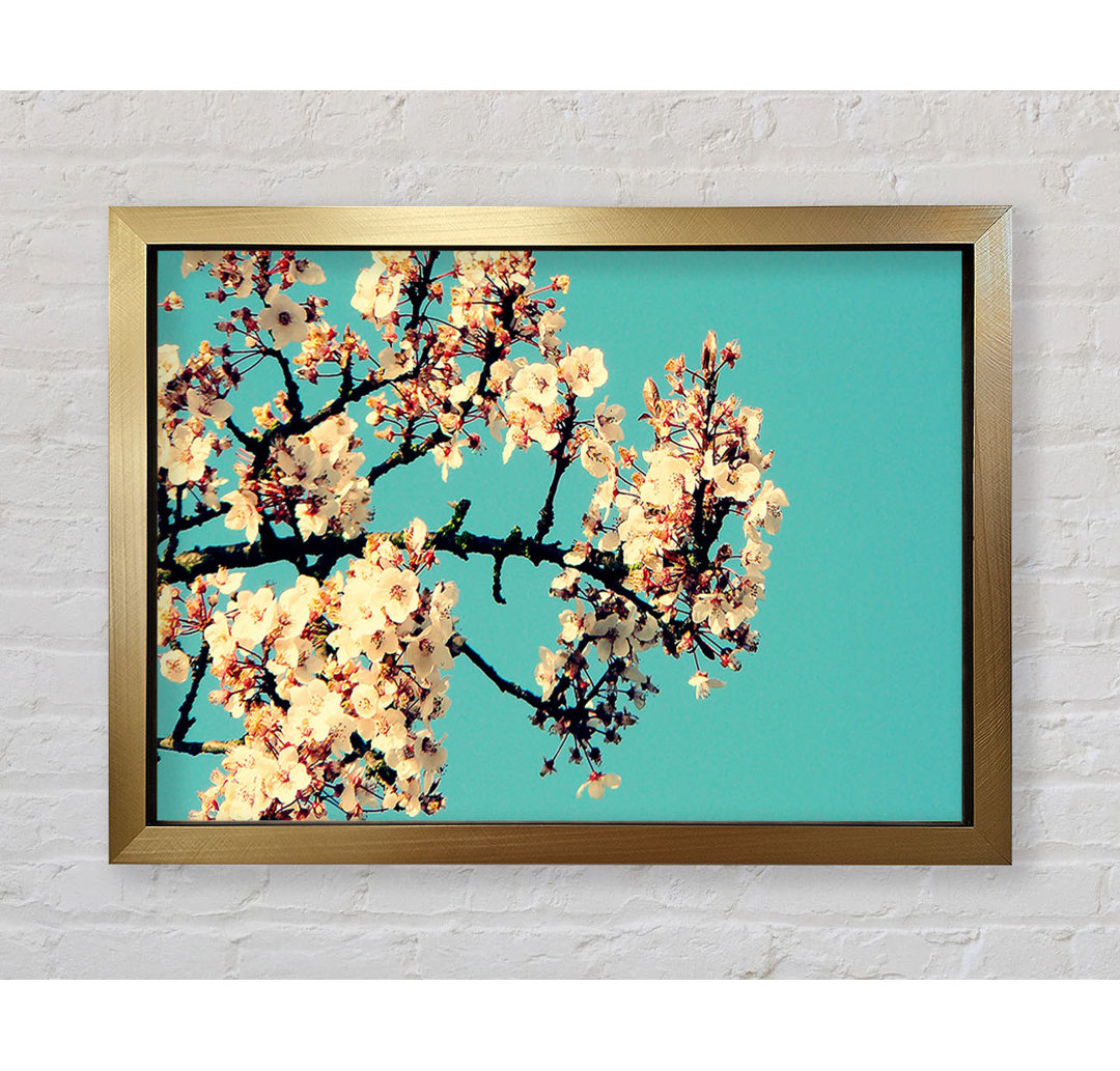 Gerahmtes Poster Blossom Tree Against A Blue Sky