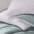 Pom Pom Slate Standard Sham