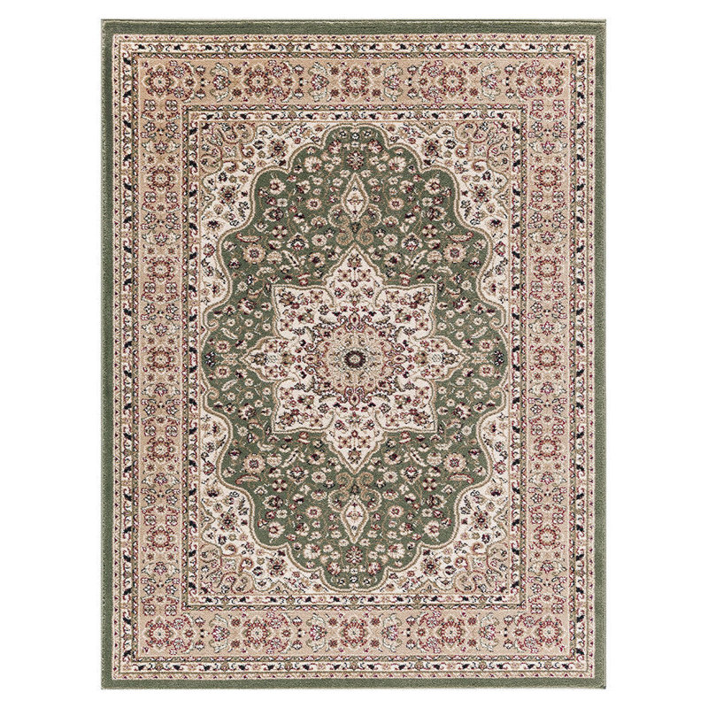 Hoyt Oriental Area Rug, Rectangle 60 x 110cm
