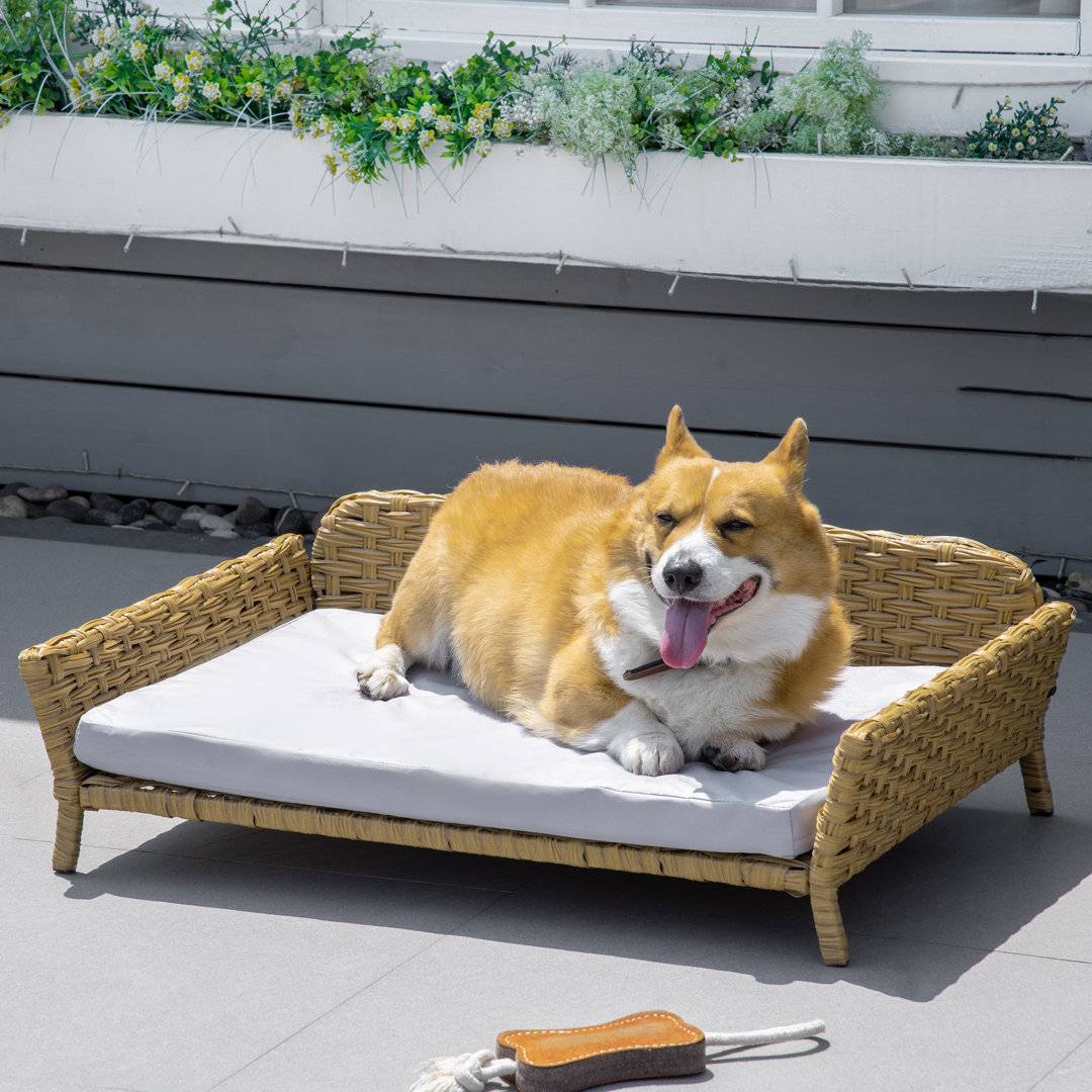 Rattan Hundesofa Hundekorb Hundebett mit Kissen Katzenbett Katzensofa Haustiersofa erhöhtes Design