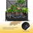 Metal Planter Wall with Trellis, Raised Garden Bed with Trellis and Privacy Screen, Outdoor Planter Box with Drainage Holes for Climbing Plants, Vines, Flowers & Vegetables, Garden Privacy Planter-118129144-118129146