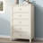 Mithusha 5 - Drawer Accent Chest