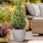 White Washed Reinforced Stone Egg Garden Round Planter, Outdoor Plant Pot-581554927
