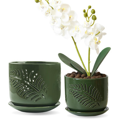 2-pack Ceramic Orchid Pots With Drainage Holes