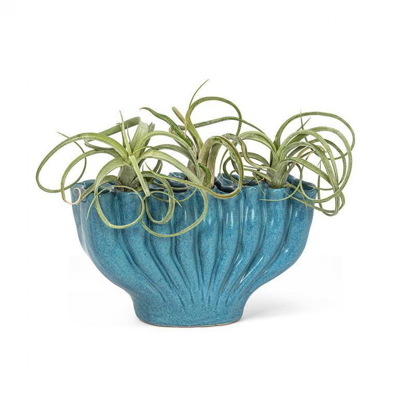 Vase de table en céramique Bovina, H 4,5 po x l 8 po x P 4 po