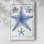 Blue Sea Stars VIII -Gallery Wrapped Cavas-1618701355