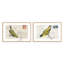 Courrier avec ailes, ensemble de 2 impressions-558502948-558502951-558502958
