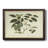 Delicate Botanical III " Delicate Botanical III "-922447095