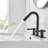 Widespread 2-handle Bathroom Faucet with Drain Assembly-87196281