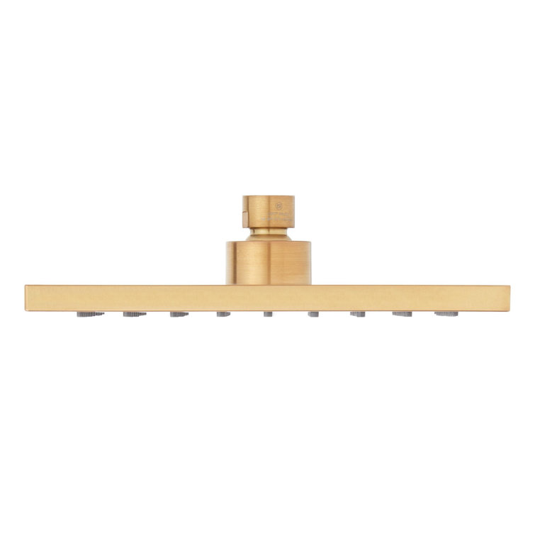 Rigi 1.8 GPM Single Function Rain Shower Head