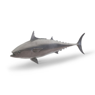 Animals Mackerel Fish Wall Décor