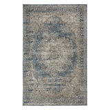 Oriental Indoor Rug