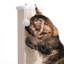 Grattoir pour chat très haut Morden-635085451