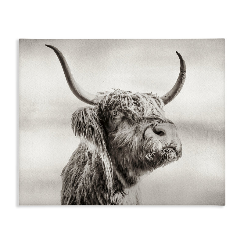 Vache Horned Highland Cow, toile par Julia Frost, H 16 po x l 20 po