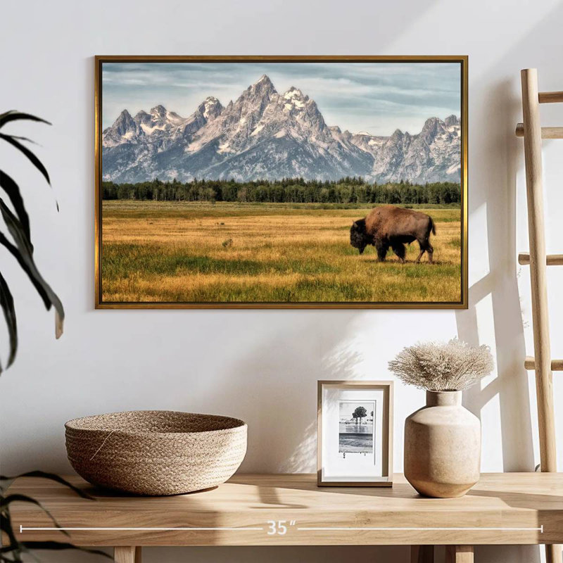 Bull Bison à Grand Teton, 25 po x 17 po, Cadre flottant doré