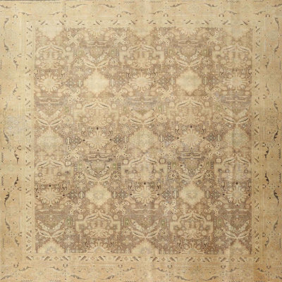 Oriental Indoor Rug