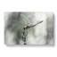 Perched Dragonfly - Wrapped Canvas-56639744