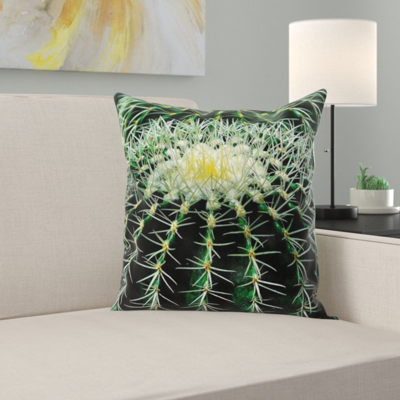 Coussin cactus